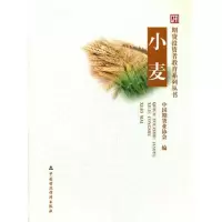 醉染图书小麦9787509531839