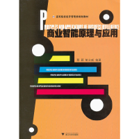 醉染图书商业智能原理与应用9787308091206