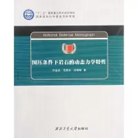 醉染图书围压条件下岩石的动态力学特9787561220