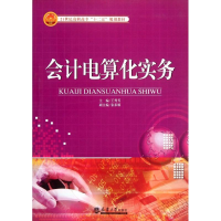 醉染图书会计电算化实务9787561843147