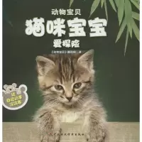 醉染图书猫咪宝宝爱探险9787509536117