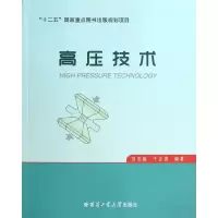 醉染图书高压技术9787560336435