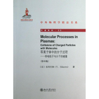 醉染图书等离子体中的分子过程9787301227091