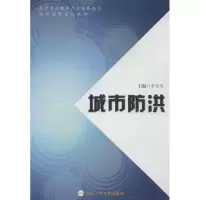 醉染图书城市防洪9787565013331