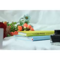 醉染图书了不起的盖茨比9787515904931