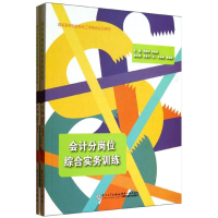 醉染图书会计分岗位综合实务训练9787561546710
