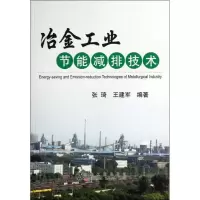 醉染图书冶金工业节能减排技术9787502462840