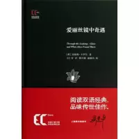 醉染图书爱丽丝镜中奇遇9787543959859