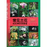 醉染图书常见兰花400种识别图鉴9787562474586