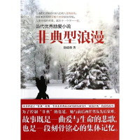 醉染图书非典型浪漫97873041062