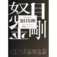醉染图书怒目金刚9787539641461