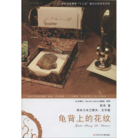 醉染图书龟背上的花纹9787534681981