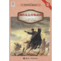 醉染图书钢铁是怎样炼成的9787544834438