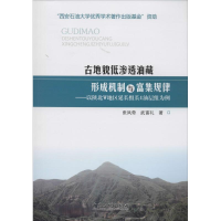 醉染图书古地貌低渗透油藏的形成机制与富集规律9787511424174