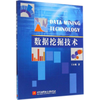 醉染图书数据挖掘技术9787512413764