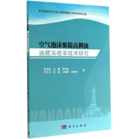 醉染图书空气泡沫驱提高稠油油藏采收率技术研究9787030418845