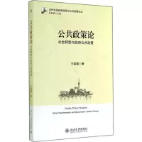 醉染图书公共政策论97873012446