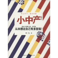 醉染图书小中产9787229086336