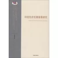 醉染图书印度经济发展前景研究9787802020
