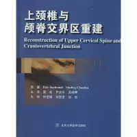 醉染图书上颈椎与颅脊交界区重建9787565909689