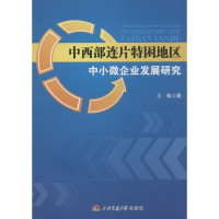醉染图书中西部连片特困地区中小微企业发展研究9787564335137