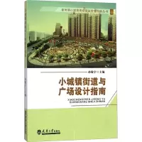 醉染图书小城镇街道与广场设计指南9787561852187