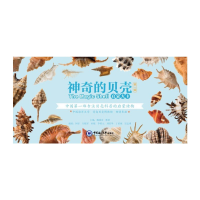 醉染图书的贝壳(辑)9787567008304