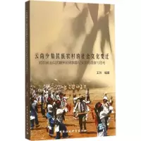 醉染图书云南少数民族农村的社会文化变迁9787516154755