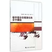 醉染图书硅中部分位错演化的分子模拟9787566109392