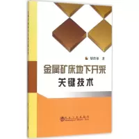醉染图书金属矿床地下开采关键技术9787502469221