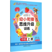 醉染图书幼小衔接思维升级训练9787562842774