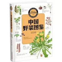醉染图书中国野菜图鉴9787537750264