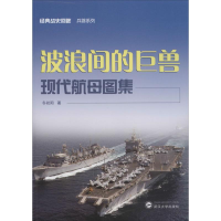 醉染图书波浪间的巨兽9787307163829