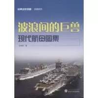 醉染图书波浪间的巨兽9787307163829
