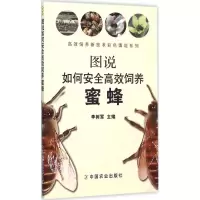醉染图书图说如何安全高效饲养蜜蜂9787109199224