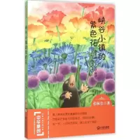 醉染图书峡谷小镇的紫色花9787550509269