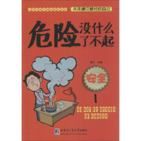 醉染图书危险没什么了不起:安全9787560353524