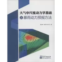 醉染图书大气中尺度动力学基础及雨力预报方法9787502961770