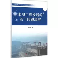 醉染图书水坝工程发展的若干问题思辨9787504669391