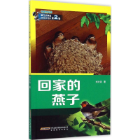 醉染图书回家的燕子9787533663094