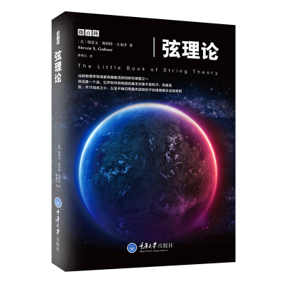 醉染图书弦理论97875624904