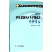 醉染图书世界能源与电力发展状况分析报告.20159787512978