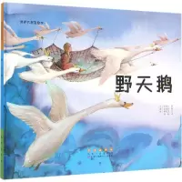 醉染图书野天鹅9787544541473