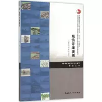 醉染图书城镇详细规划9787112185382