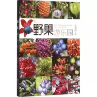 醉染图书野果游乐园9787100116404