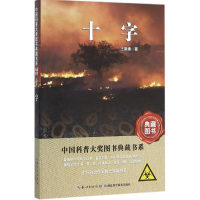 醉染图书十字9787535282156