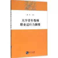 醉染图书大学青年教师职业适应力撷要9787513040464