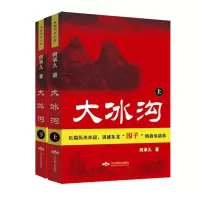 醉染图书大冰沟/何承久9787540046