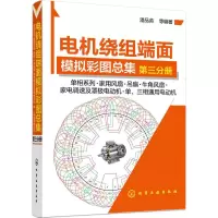 醉染图书电机绕组端面模拟彩图总集9787122250544
