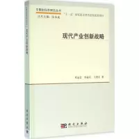 醉染图书现代产业创新战略9787030473950